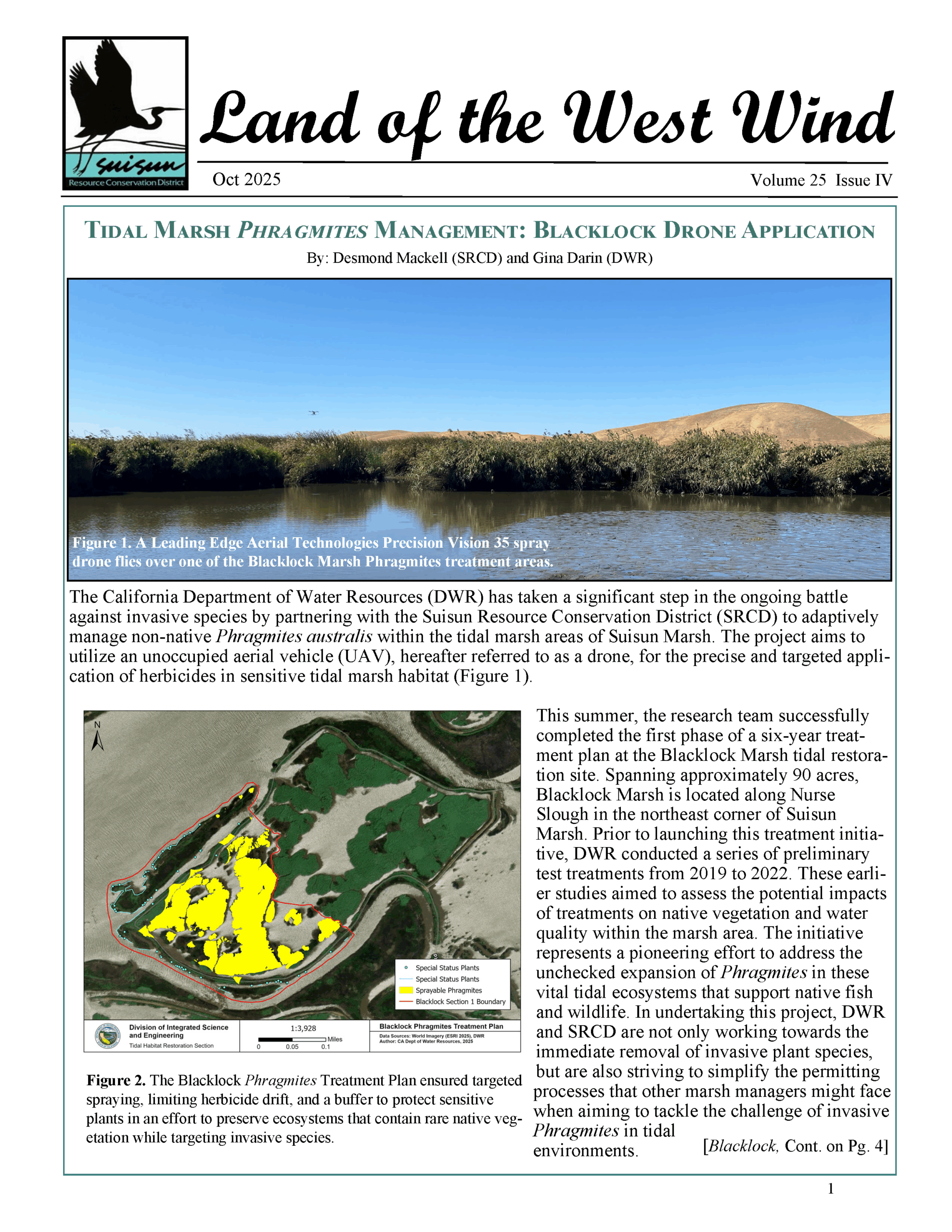 Newsletter