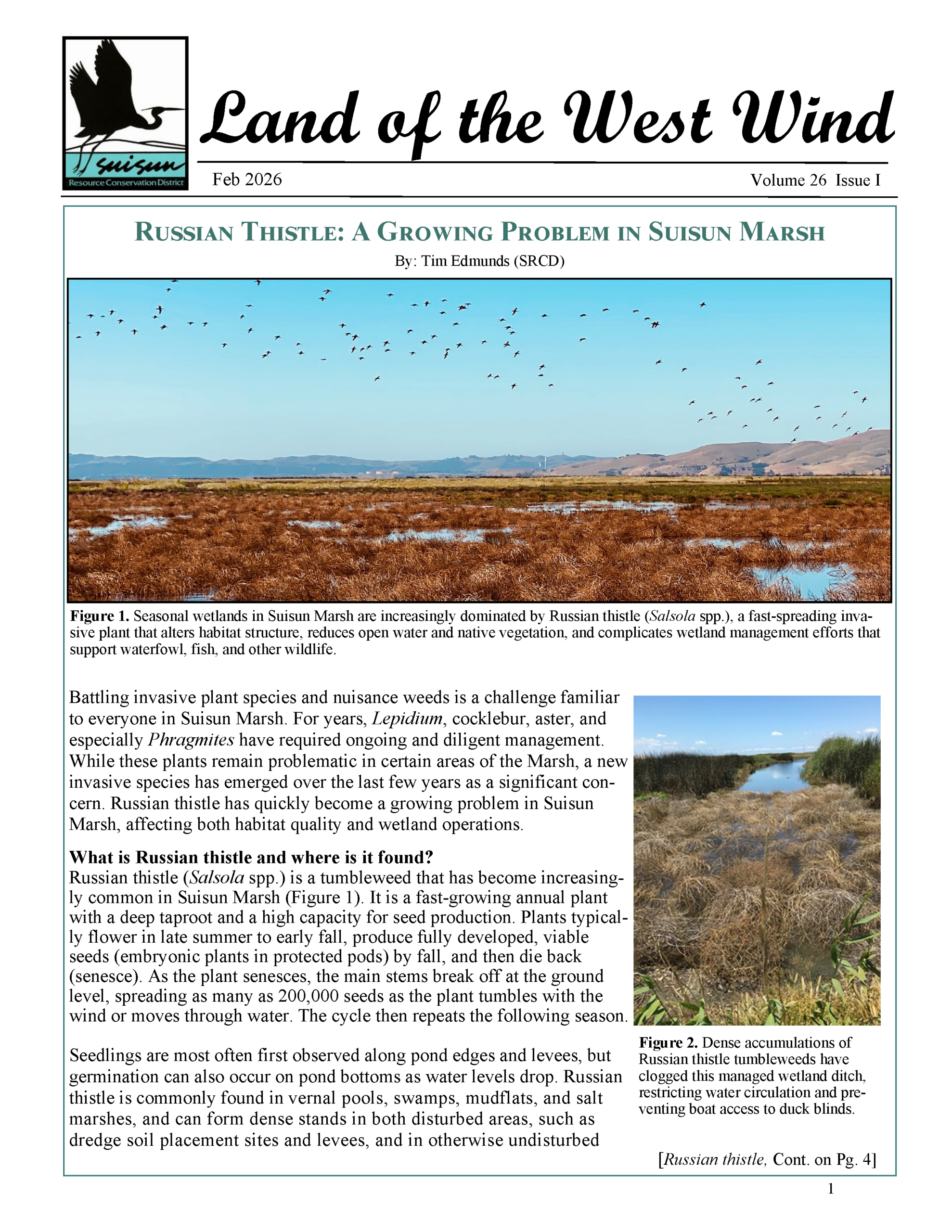 Newsletter Newsletter